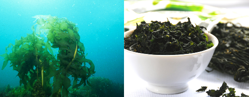 wakame