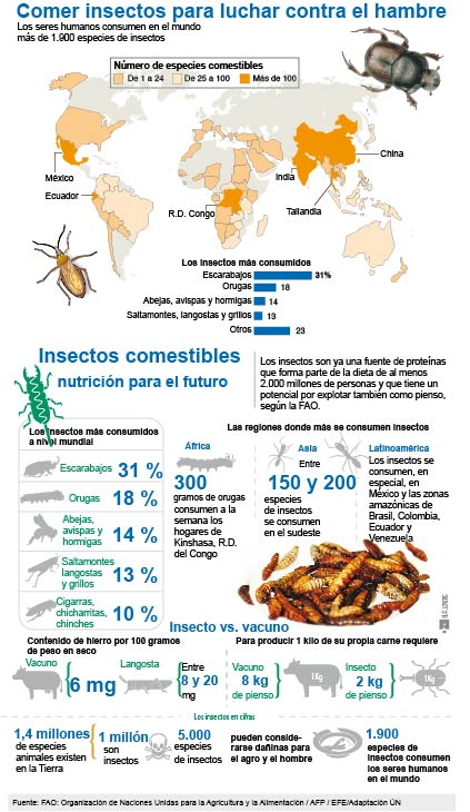 InfografÃ­a Insectos comestibles